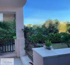 Vendita vendita, Rio Vendita vendita, Rio