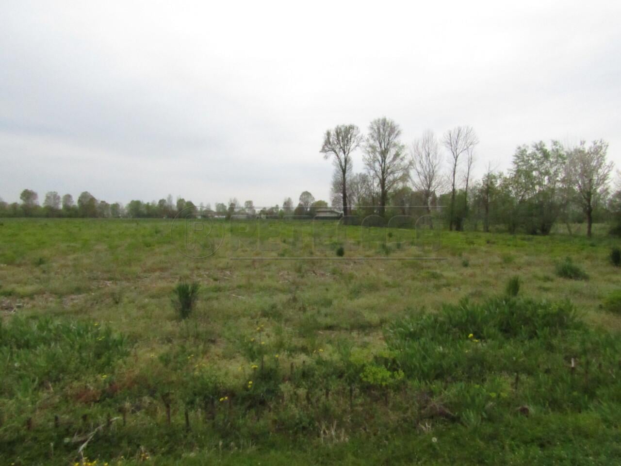 Vendita Monovano, Santa Giustina in Colle foto
