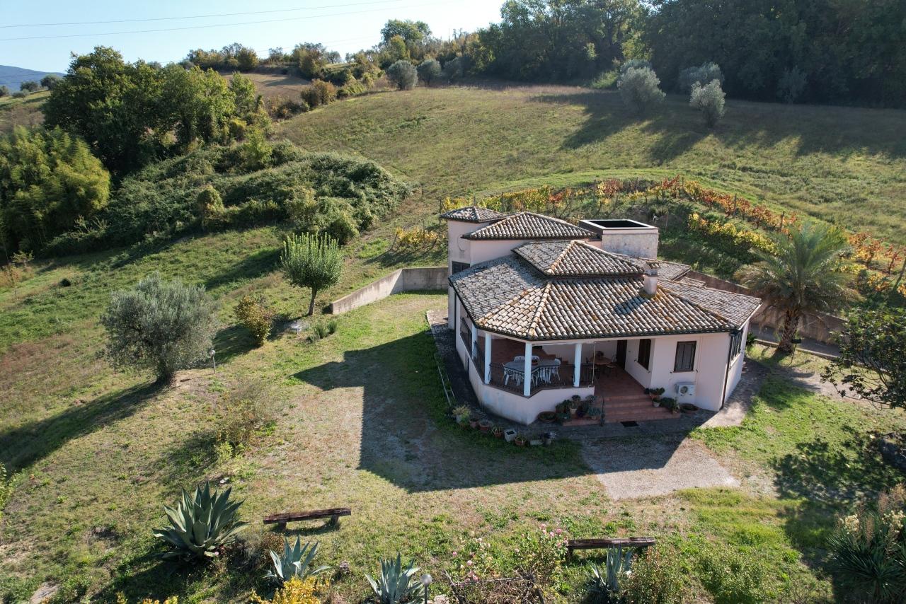 Venta Multivani, Alviano foto