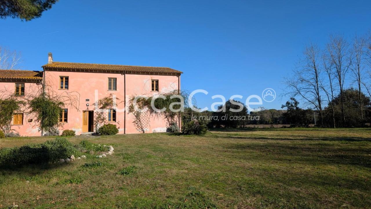 Affitto Appartamento, Vecchiano foto