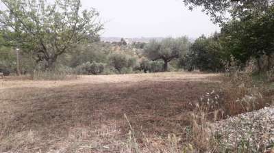 Vendita Terreno, Cepagatti