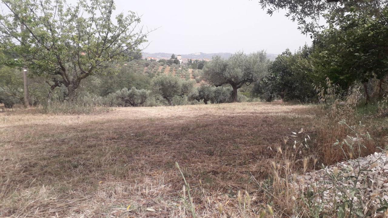 Vendita Terreno, Cepagatti foto