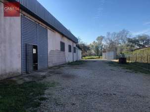 Vendita Magazzino, Sabaudia