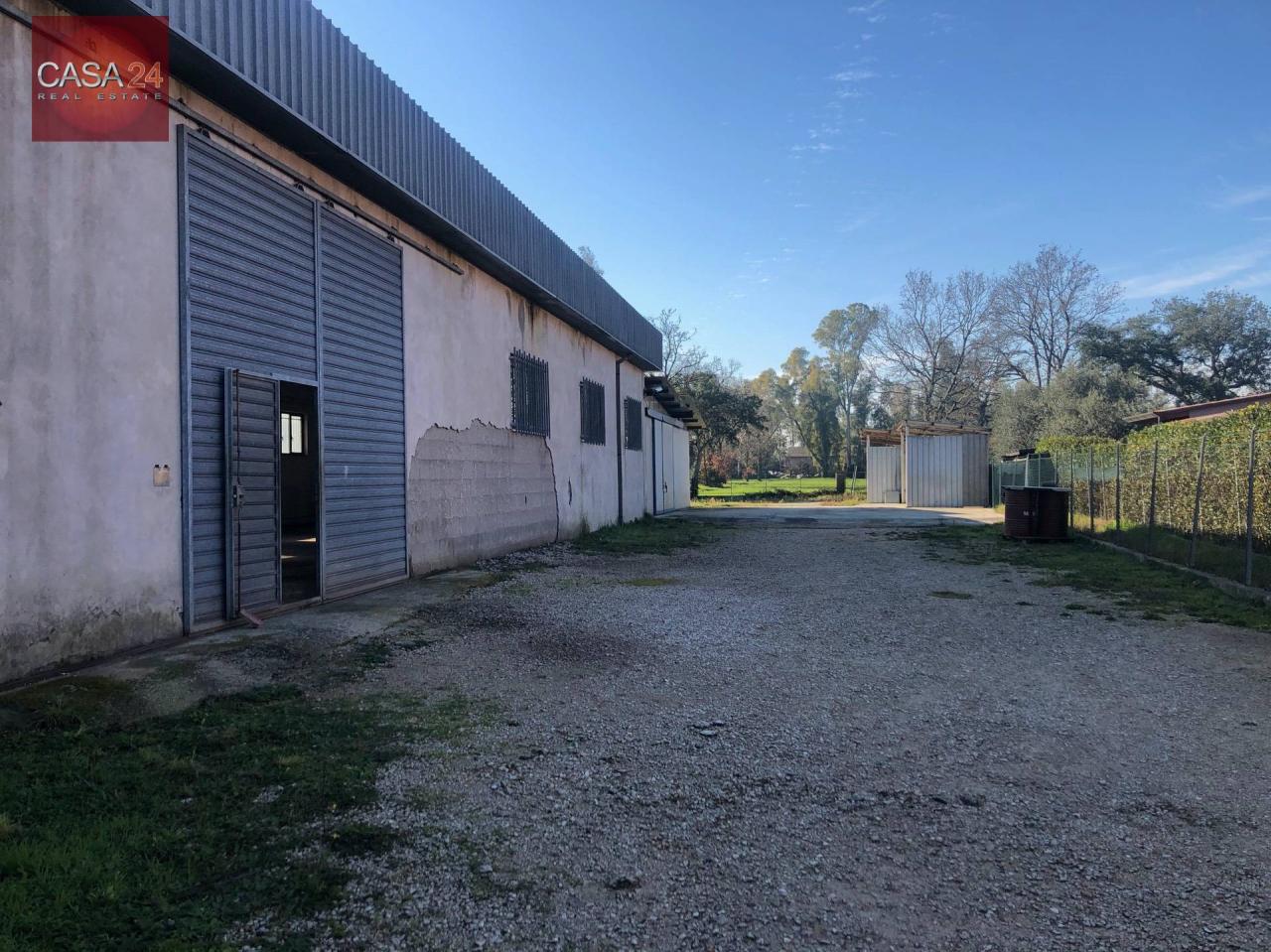 Vendita Magazzino, Sabaudia foto