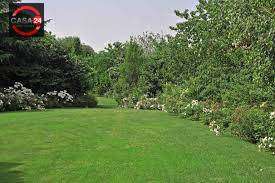 Vendita Terreno, Latina