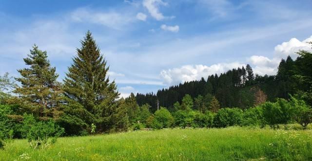 Vendita Terreno, Tarvisio foto