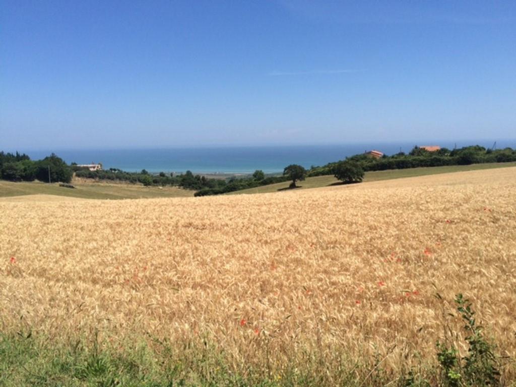 Vendita Terreno, Colonnella foto