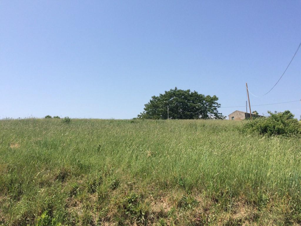 Vendita Terreno, Colonnella foto