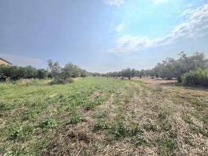 Vendita Terreno, Cepagatti