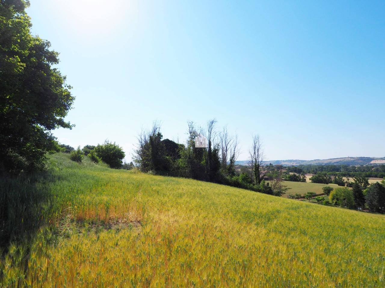 Vendita Rustico, Corridonia foto