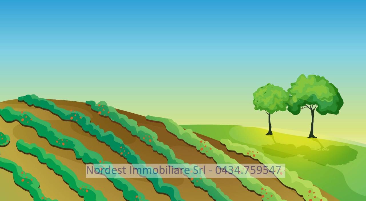 Vendita Terreno, Gaiarine foto