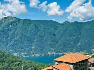 Vendita vendita, Veleso