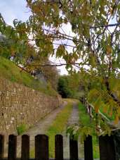 Vendita Pentavani, Calice al Cornoviglio