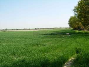 Venta Tierra, Camisano Vicentino