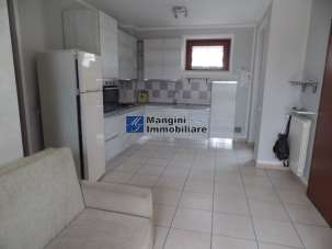 Venta Trivani, Livorno