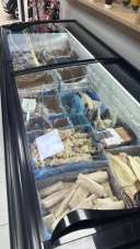 Vendita Monovano, Casavatore