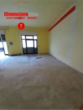 Vendita vendita, Cicciano