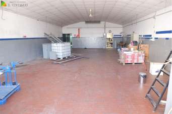 Affitto affitto, Sassuolo Affitto affitto, Sassuolo