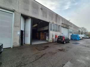 Vendita vendita, Cantu