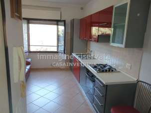 Affitto Appartamento, Grosseto Affitto Appartamento, Grosseto