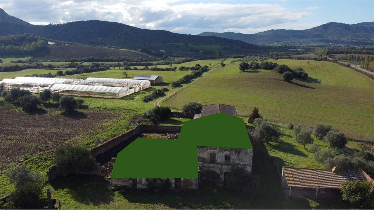 Vendita vendita, Narcao foto