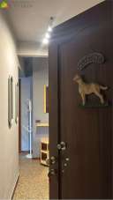 Affitto affitto, Sassuolo