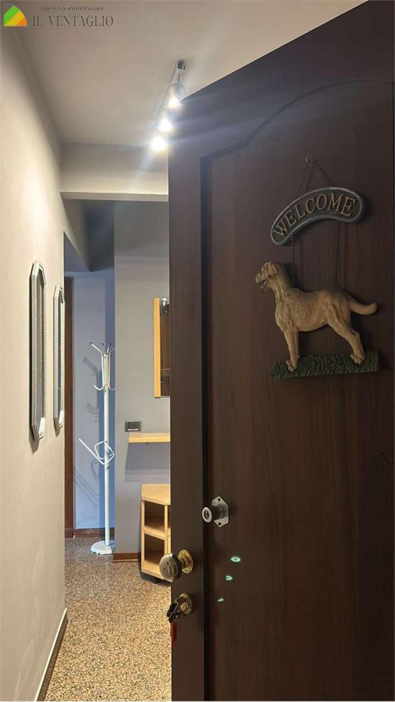 Affitto affitto, Sassuolo foto