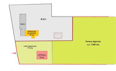 Sale Capannone, Cesenatico