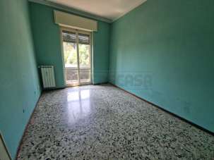 Vendita Trivani, Cremona