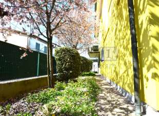 Venta Multivani, Albignasego