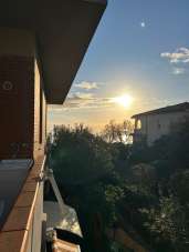 Venta Trivani, Follonica