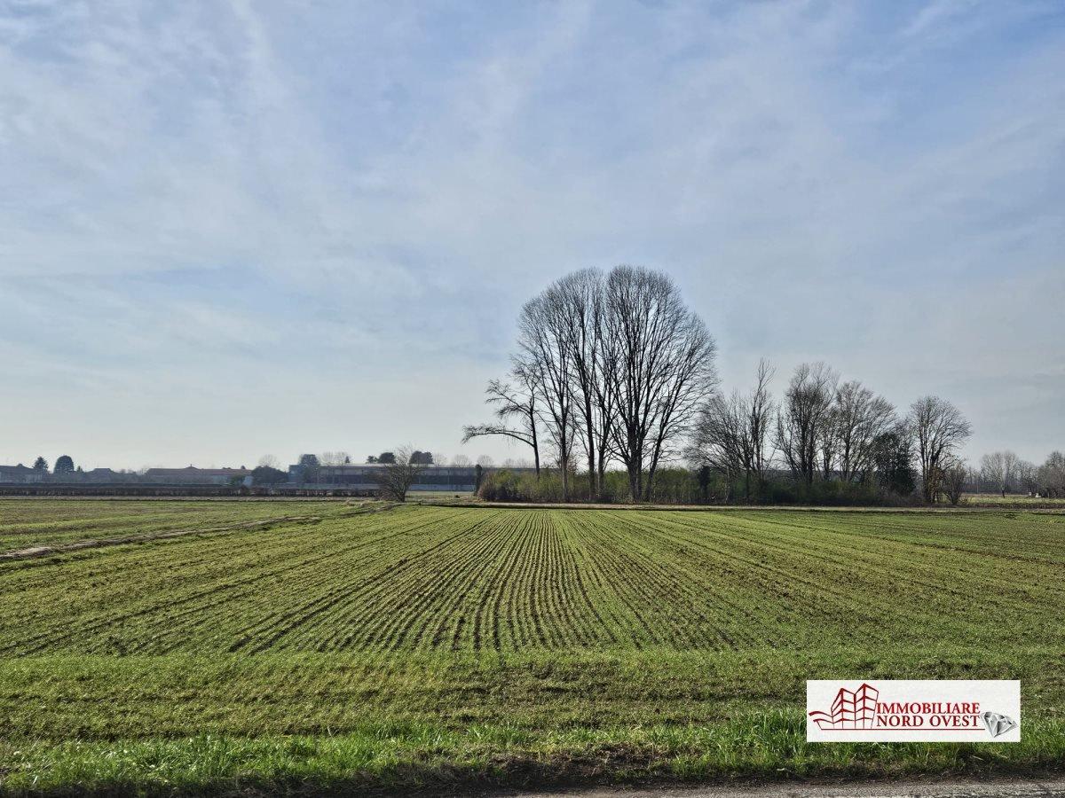 Vendita Loft, mansarde e attici, Corbetta foto