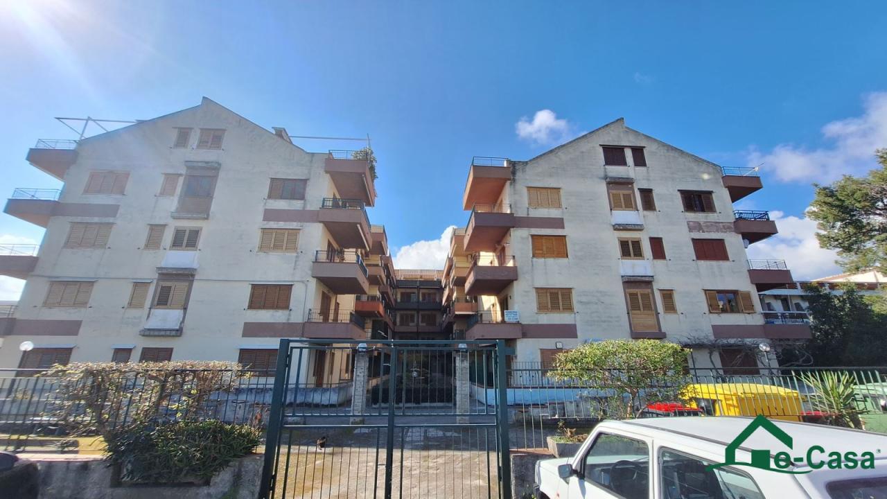 Vendita Bivani, Falcone foto