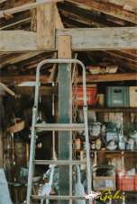 Vendita Monovano, San Gimignano Vendita Monovano, San Gimignano