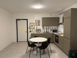 Affitto Appartamento, Caronno Pertusella