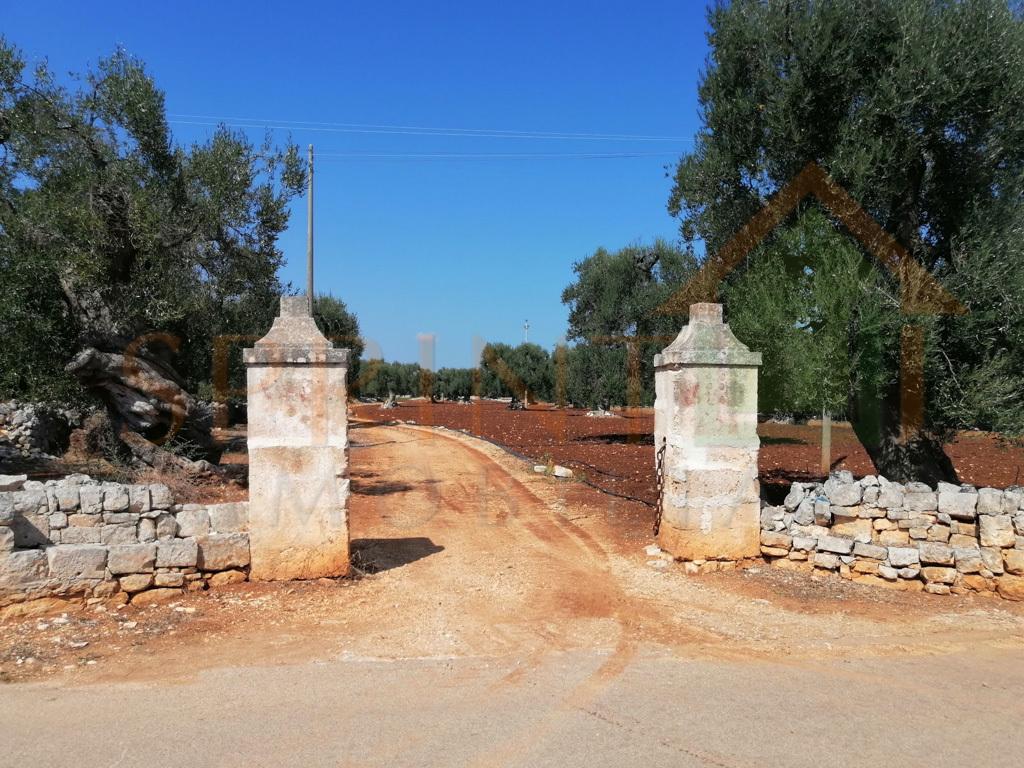 Vendita Case, Monopoli foto