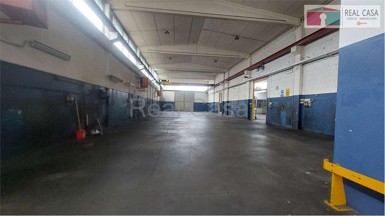 Affitto affitto, Modena foto