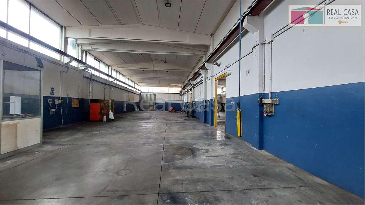 Affitto affitto, Modena foto