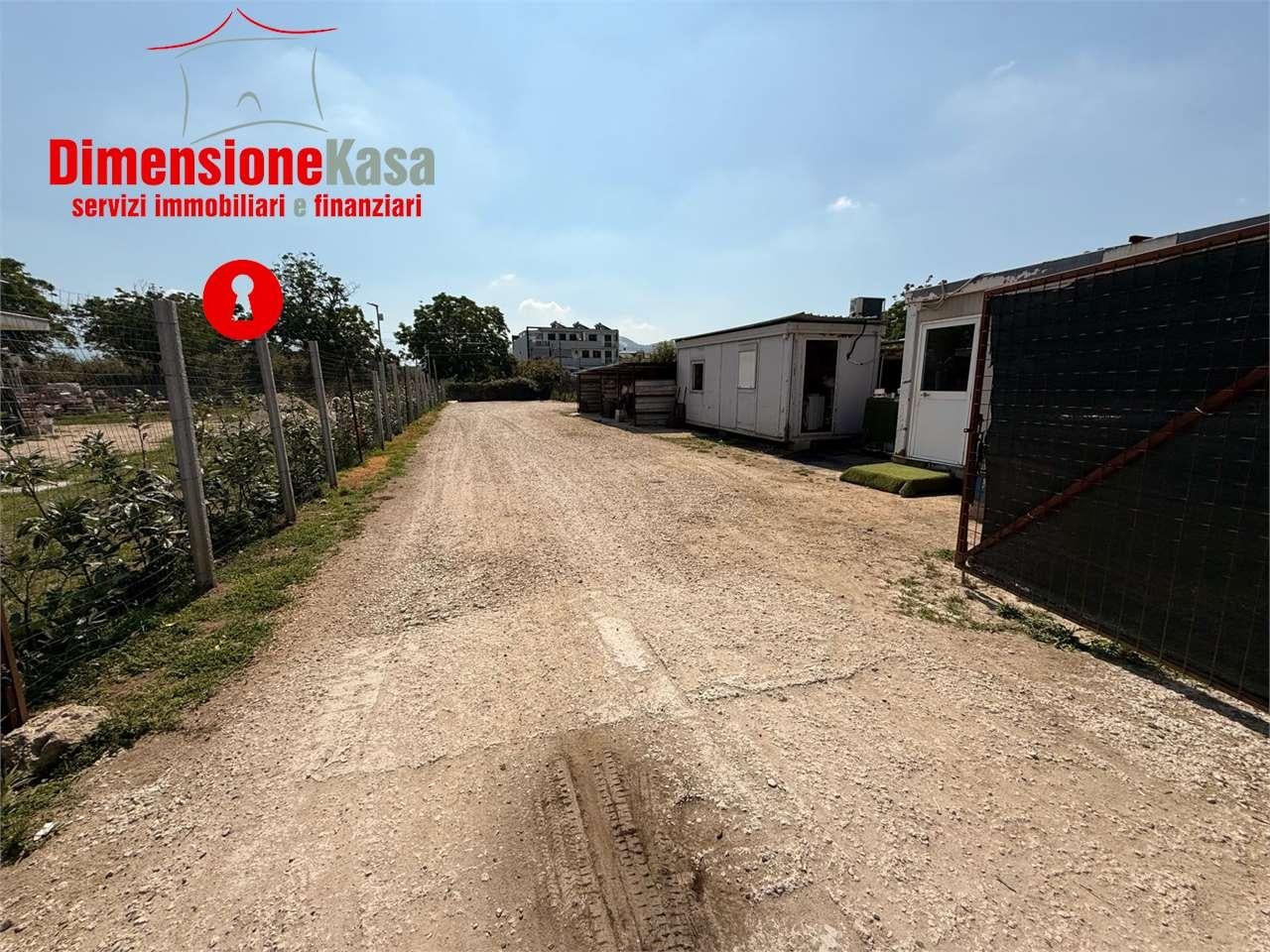 Affitto affitto, Camposano foto