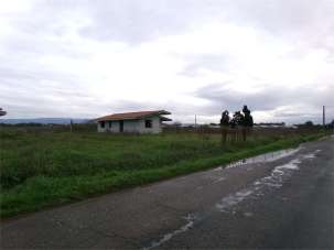 Venta vendita, Assemini