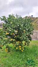 Sale Lofts, attics and penthouses, Messina