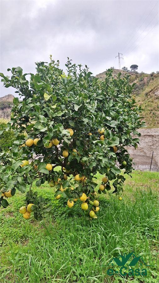 Sale Lofts, attics and penthouses, Messina foto