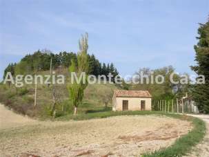 Venta Terreno Agricolo, Tavullia