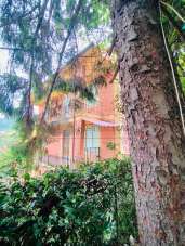 Venta Multivani, Sarzana