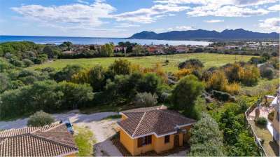 Sale vendita, Siniscola