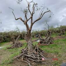Vendita Loft, mansarde e attici, Messina