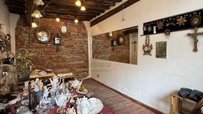 Venta Casas, Lucca