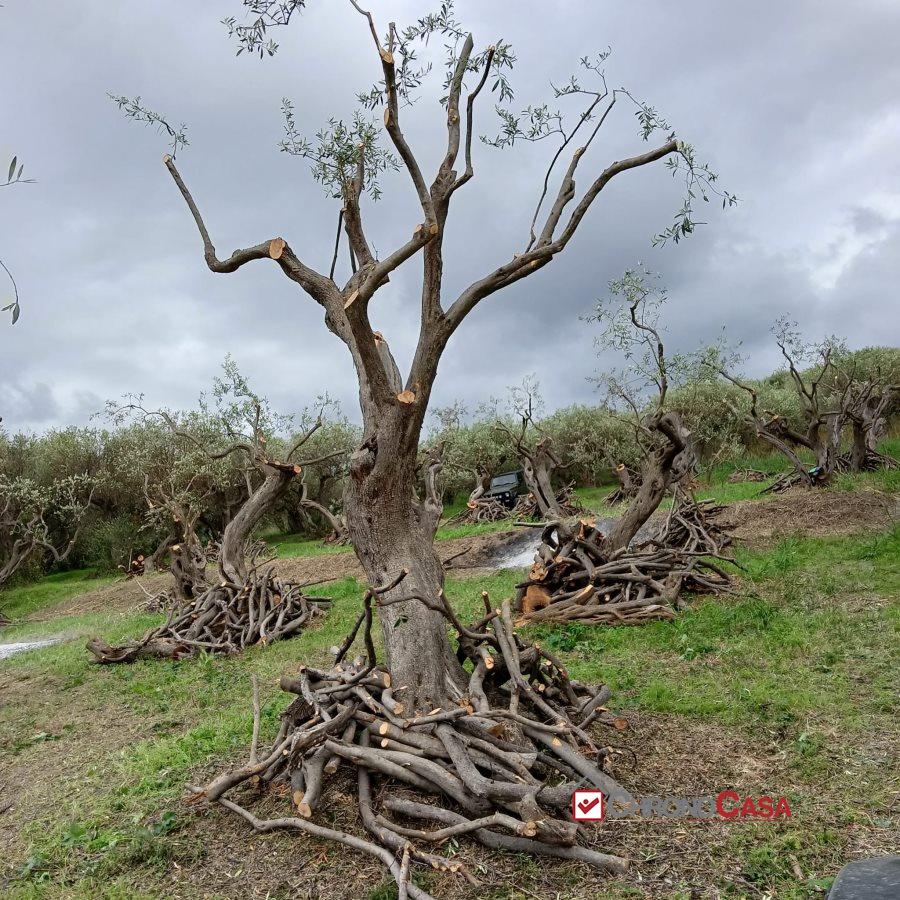 Vendita Terreno, Messina foto