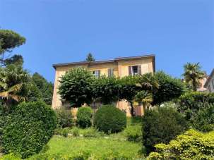 Sale vendita, Erba Sale vendita, Erba