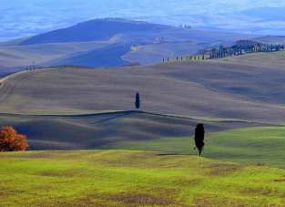 Sale Other properties, Montalcino